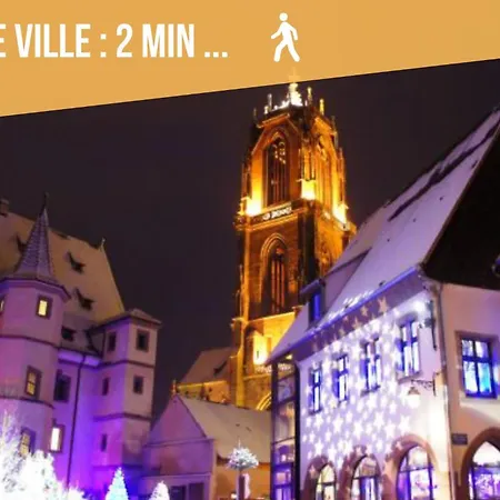 Ginkgo Au Coeur De L'alsace - - 4 A 6 Personnes 公寓 塞莱斯塔