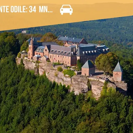 公寓 Ginkgo Au Coeur De L'alsace - - 4 A 6 Personnes *